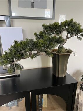 Beautiful Artificial Bonsai Tree, faux juniper in tall Planter - Large